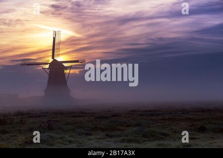 Hempenserpoldermolen smock Mill al mattino nebbia, Paesi Bassi, Frisia, Hempenserpoldermolen, Wergea Foto Stock