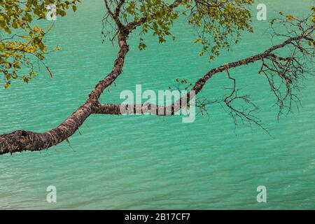 Il lago di Kinney, colorato da farina glaciale, si trova nel Mount Robson Provincial Park, British Columbia, Canada Foto Stock