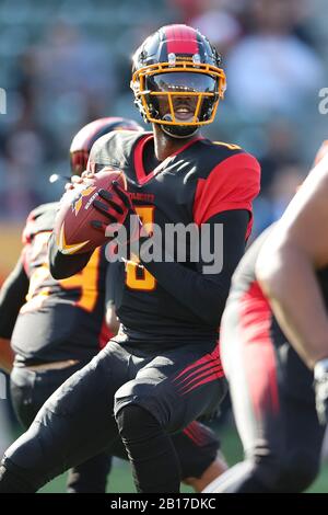 23 febbraio 2020: La Wildcats quarterback Josh Johnson (8) cerca un ricevitore aperto nella prima metà del gioco tra DC Defenders e Los Angeles Wildcats, Dignity Health Sports Park, Carson, CA. Peter Joneleit/CSM Foto Stock