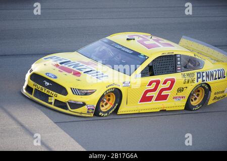 Las Vegas, Nevada, Stati Uniti. 23rd Feb, 2020. Nascar Pennzoil 400 Cup Race - Las Vegas.Joey Logano Vince Il Race.@Lasvegasmotorspeedway.mandAtory Credits: Louis Grasse/Px Images Credit: Louis Grasse/Px Imagens/Zuma Wire/Alamy Live News Foto Stock