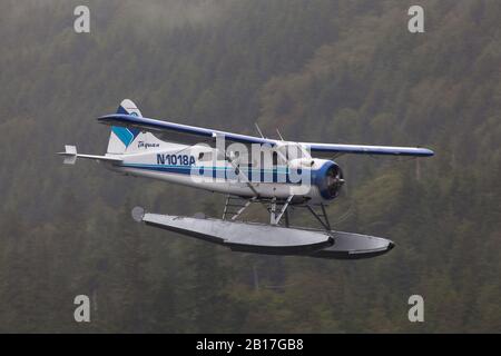 De Havilland Canada Beaver atterraggio a Juneau Alaska Foto Stock