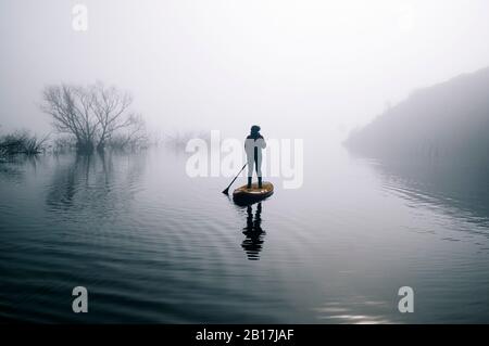 Silhouette di donna stand up paddle surf su un lago Foto Stock