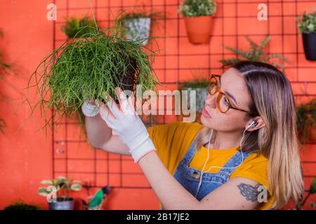 Donna che esamina la pianta di Rhippalis sulla sua terrazza Foto Stock