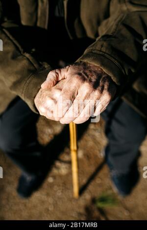 Le mani del vecchio poggiano sulla canna, primo piano Foto Stock