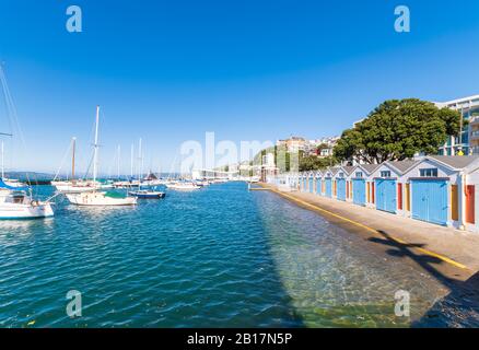 Nuova Zelanda, Isola Del Nord, Port Nicholson Boat Sheds. Foto Stock