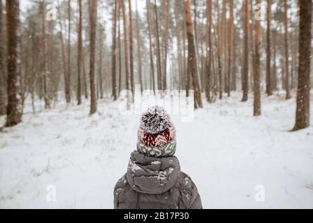 Vista posteriore del ragazzo che indossa cappello da bocchietto nella foresta d'inverno Foto Stock