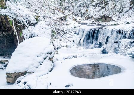 Germania, Baden-Wurttemberg, Weinstadt, Foresta Svevo-Franconia in inverno Foto Stock