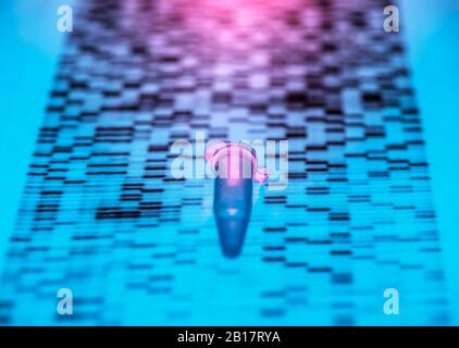 Primo piano del campione di DNA presente nel grafico dei risultati del sequenziamento del DNA Foto Stock
