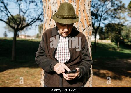 Vecchio che usa lo smartphone, appoggiato sul tronco dell'albero Foto Stock