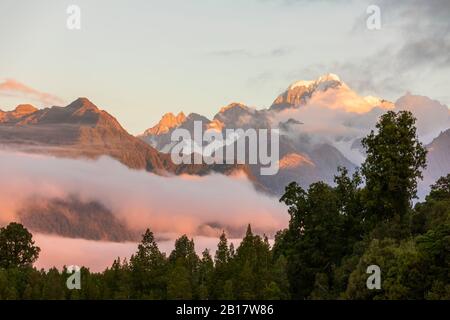 Nuova Zelanda, Westland District, Fox Glacier, LMountain gamma avvolta nella nebbia mattutina Foto Stock