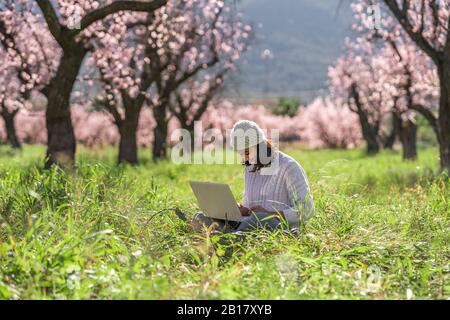 Adolescente ragazza seduta su un prato in mezzo fioritura mandorle alberi utilizzando il laptop Foto Stock