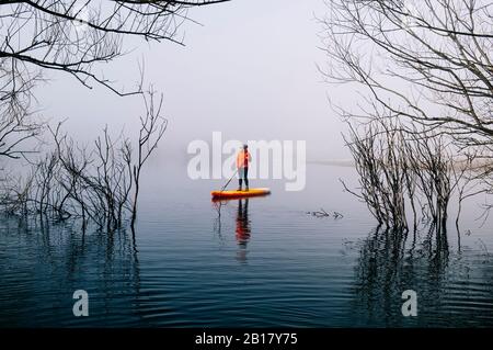 Donna stand up paddle surf su un lago nella nebbia Foto Stock