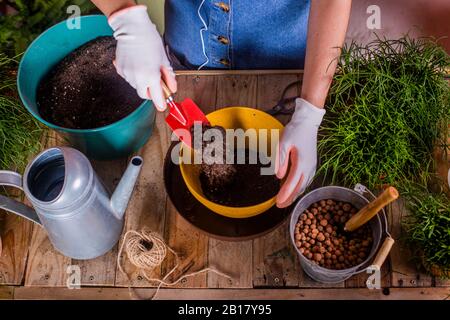 Primo piano di donna che respinge Rhippsalis sulla sua terrazza Foto Stock