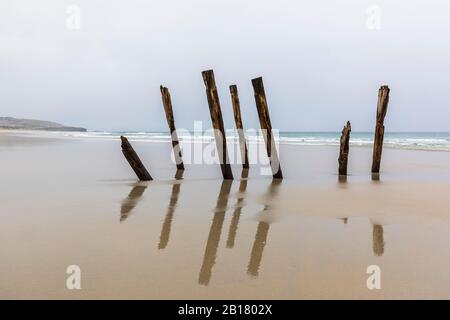 Nuova Zelanda, Oceania, Isola del Sud, Otago, Dunedin, Saint Clair Poles, vecchi pali di legno del molo sulla spiaggia di Saint Clair Foto Stock