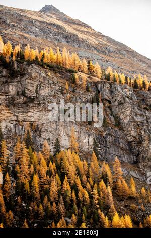 Austria, Carinzia, scogliera del ghiacciaio Molltal in autunno Foto Stock