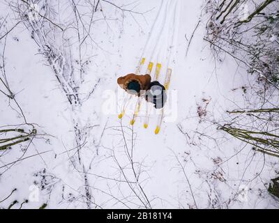 Veduta aerea di coppia con sci nella foresta, Leningrado regione, Russia Foto Stock