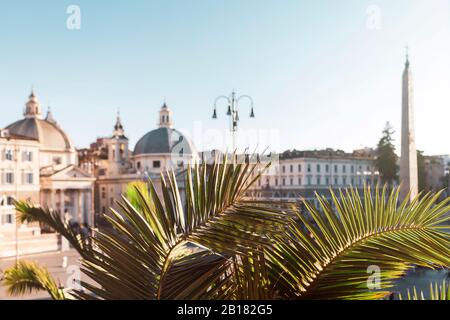 Italia, Roma, palma si dirama contro gli edifici di Piazza del Popolo Foto Stock