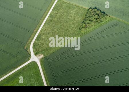 Veduta aerea della strada sterrata rurale con raccordo stradale nel paesaggio rurale con boschetto e campi agricoli. Franconia, Baviera, Germania. Foto Stock
