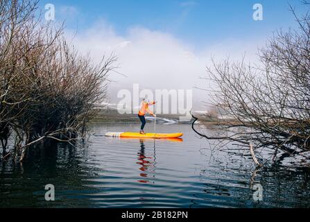 Donna stand up paddle surf su un lago Foto Stock