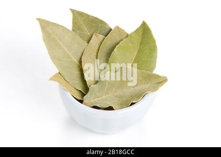 Bay Lascia in una ciotola bianca su sfondo bianco. Chiamato anche alloro baia o Laurus nobilis. Usato come spezia nella cucina e anche in medicina. Foto Stock