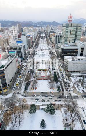 Vista del parco di Oori dalla Torre della TV di Sapporo Foto Stock