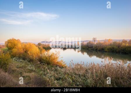 Panoramica immagine autunnale di alberi colorati lungo l'acqua calma del fiume Mures in Transilvania, Romania Foto Stock