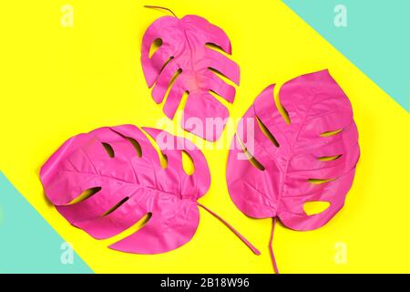 Tre palme tropicali dipinte di monstera su sfondo giallo. Foto Stock
