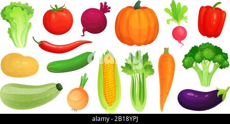 Verdure di cartone animato. Verdure fresche vegane, zucchine crude e sedano. Set di illustrazioni vettoriali per lattuga, pomodoro e carota Illustrazione Vettoriale