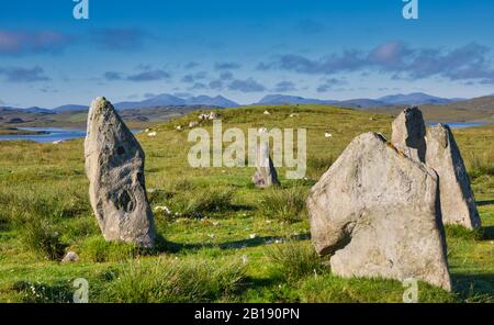 Cerchio di pietra Callanish III, strutture megalitiche dell'età del bronzo neolitica, Isola di Lewis, Ebridi esterne, Scozia Foto Stock