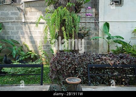 Design esterno e decorazione dell'area pubblica fumatori nel verde parco giardino Foto Stock