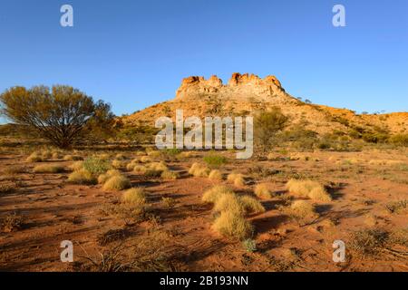 Eroso affioramento roccioso e spinifex nell'Outback australiano, Chambers Pillar Historical Reserve, Northern Territory, NT, Australia Foto Stock