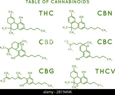 Struttura dei cannabinoidi. Strutture molecolari dei cannabidioli, THC e formula CBD. Illustrazione vettoriale delle molecole di marijuana o cannabis Illustrazione Vettoriale