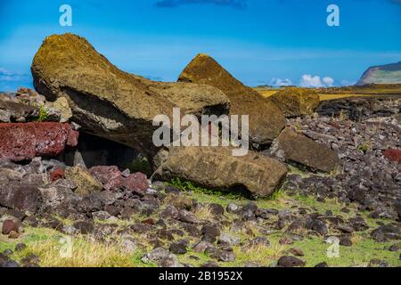 Molte statue moai posate a terra Foto Stock