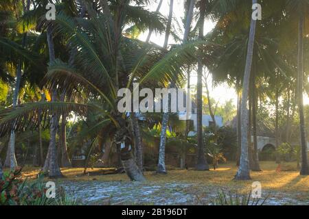 Mombasa, Kenya - 2 marzo 2015: Resort sulle rive dell'Oceano Indiano, Diani Beach, Mombasa, Africa Foto Stock