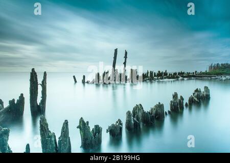 Vecchi Poli A Marderhoek, Ijsselmeer, Paesi Bassi, Frisia, Nationaal Landschap Zuidwest Fry, Gaasterland Foto Stock