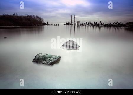 Vecchi Poli A Marderhoek, Ijsselmeer, Paesi Bassi, Frisia, Nationaal Landschap Zuidwest Fry, Gaasterland Foto Stock