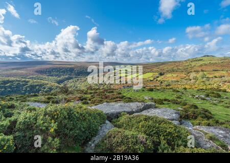 Sharp Tor e la valle Dart Dartmoor, South Devon UK ottobre 2019 Foto Stock