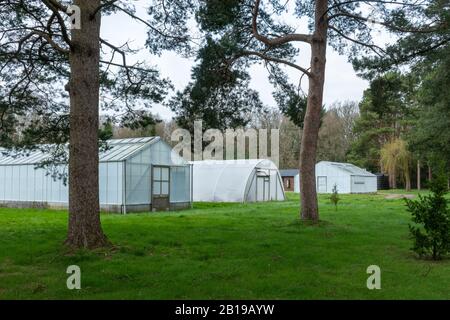 Alice Holt Forest Research Station in Hampshire, Inghilterra, Regno Unito, specializzata in scienze forestali e degli alberi Foto Stock