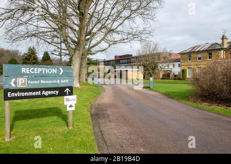 Alice Holt Forest Research Station in Hampshire, Inghilterra, Regno Unito, specializzata in scienze forestali e degli alberi Foto Stock