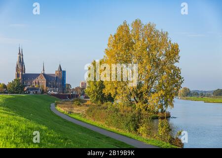 Land van Cuijk, il paesaggio agricolo nel piccolo villaggio Cuijk e sul fiume Meuse, Paesi Bassi sotto un cielo blu. Famoso punto di riferimento turistico fo Foto Stock