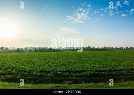 Land van Cuijk, il paesaggio agricolo nel piccolo villaggio Cuijk e sul fiume Meuse, Paesi Bassi sotto un cielo blu. Famoso punto di riferimento turistico fo Foto Stock