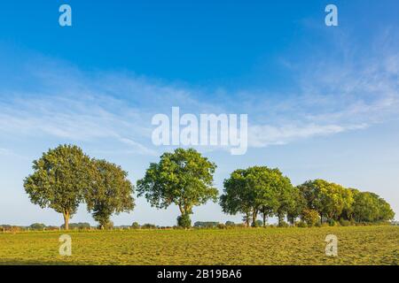 Land van Cuijk, il paesaggio agricolo nel piccolo villaggio Cuijk e sul fiume Meuse, Paesi Bassi sotto un cielo blu. Famoso punto di riferimento turistico fo Foto Stock