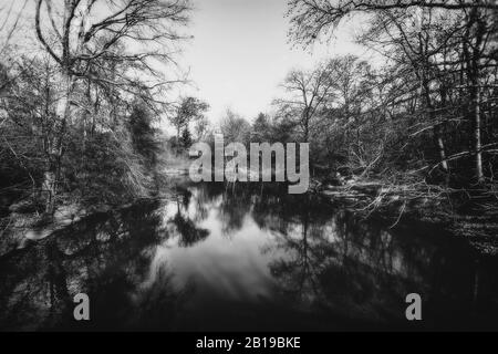 Incredibile paesaggio in Urban Central Park, una delle attrazioni turistiche più visitate del mondo a Manhattan, New York, Stati Uniti. Bianco e nero Foto Stock