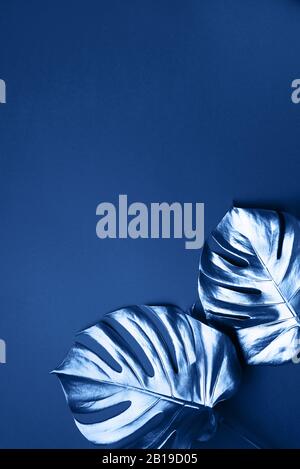 Estate esotici tendenza in stile minimal. Tropical palm monstera foglia sul blu classico colore di sfondo. Lucido e sparkle design, fashion concept Foto Stock