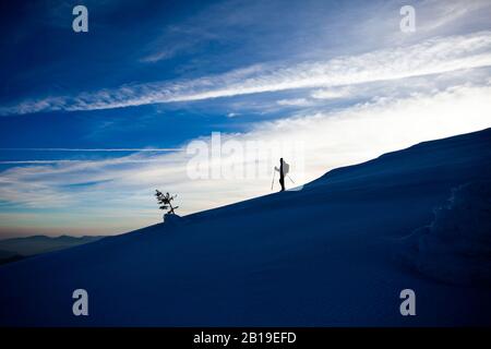 Silhouette hiker all'alba sul sentiero del Monte Ciucas in inverno, parte della catena dei Carpazi rumeni Foto Stock