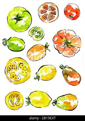 Illustrazione acquerello con pomodori rossi disegnati a mano. Affettato e non affettato. Foto Stock