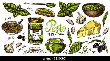 Set di salsa al pesto. Foglie di basilico, aglio, pinoli, parmigiano, olio d'oliva, pesto alla genovese. Condimento piccante, bottiglia di vetro, cucchiaio di legno o. Illustrazione Vettoriale