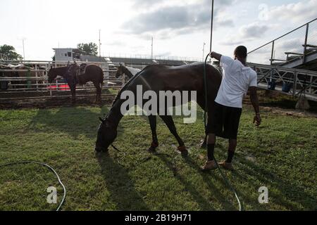 Giovani cowboy all'Okmulgee Invitational, il più antico rodeo afroamericano degli Stati Uniti. Okmulgee, Oklahoma. Foto Stock