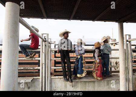 Giovani cowboy all'Okmulgee Invitational, il più antico rodeo afroamericano degli Stati Uniti. Okmulgee, Oklahoma. Foto Stock