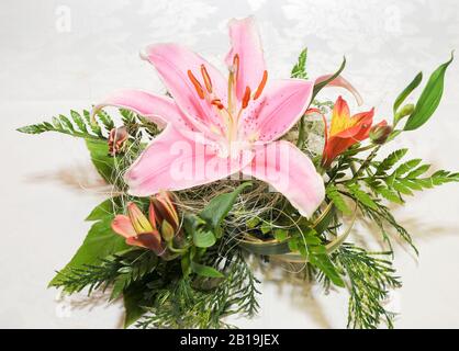 Decorazione con grazioso giglio rosa. orientale. Lily stargazer. Lilium. Liliaceae. Foto Stock